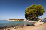 b_150_100_16777215_00_images_podvrska_murterslanicapodvrskabeach.jpg
