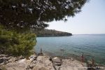 b_150_100_16777215_00_images_slanica_slanicabeachpinetree.jpg