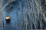 b_150_100_16777215_00_images_zagreb_advent2017_adventprolaz.jpg
